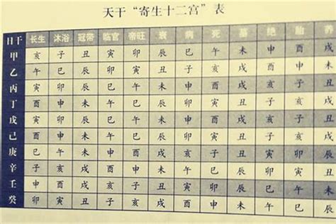 八字图|八字命盤排盤